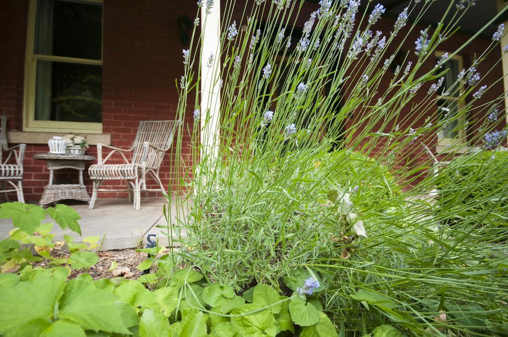The Graces Beechworth Bed & Breakfast Exterior photo